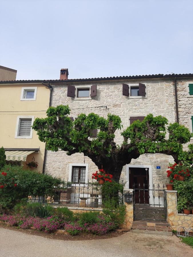 Casa Girasole Villa Buje Eksteriør bilde