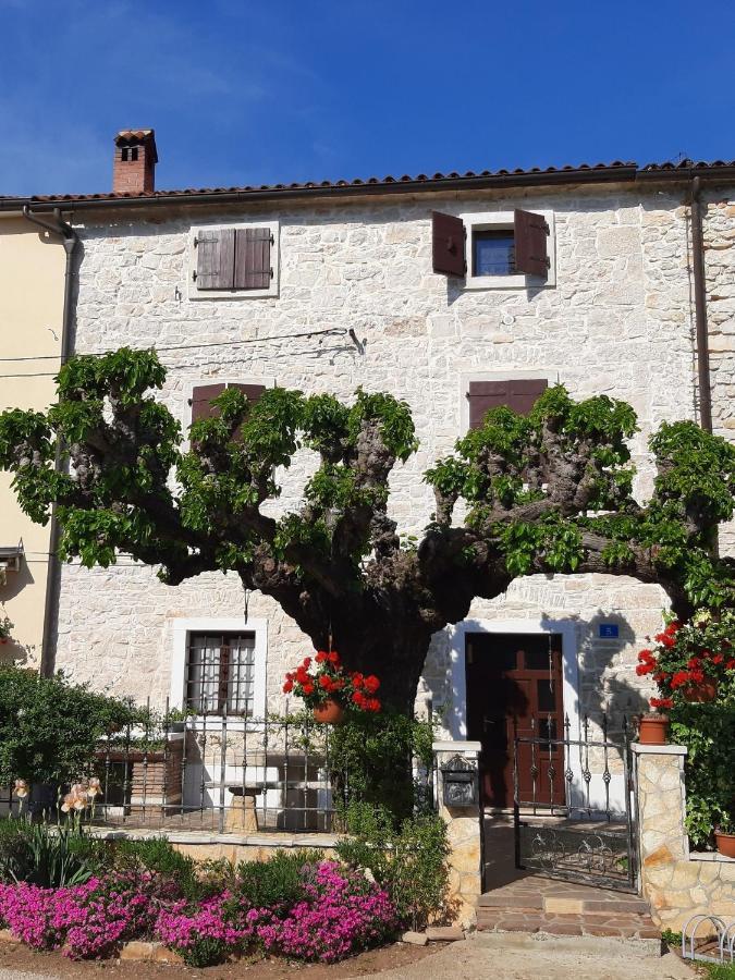 Casa Girasole Villa Buje Eksteriør bilde